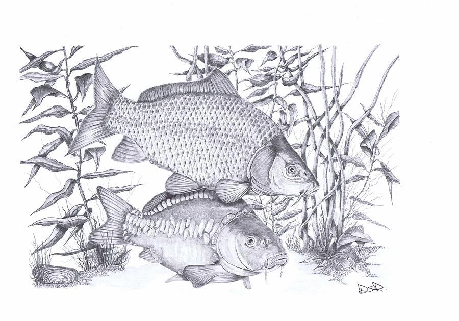 Portrete - twin-carp-dave-dudley.jpg